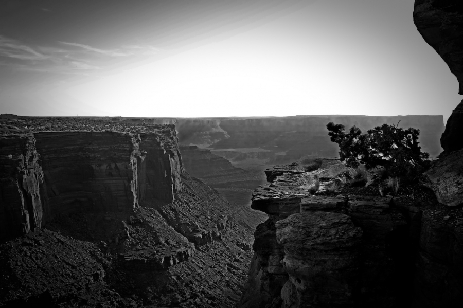 shafer-canyonn-black-and-white-r2