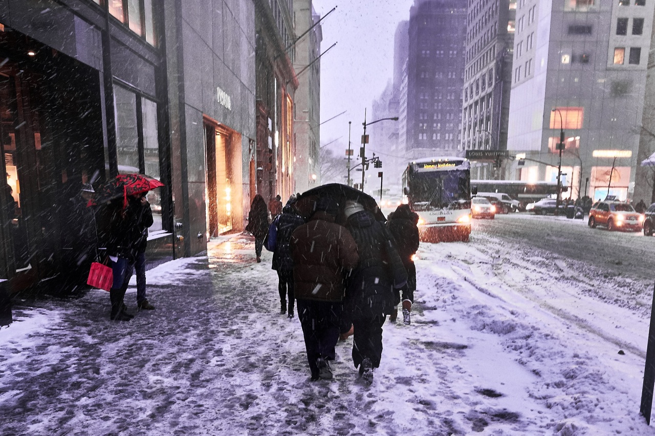 Against the Snow: Walking Up Fifth #we35