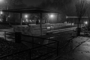 Juniper Valley Park at Night Series #We35 December 2015