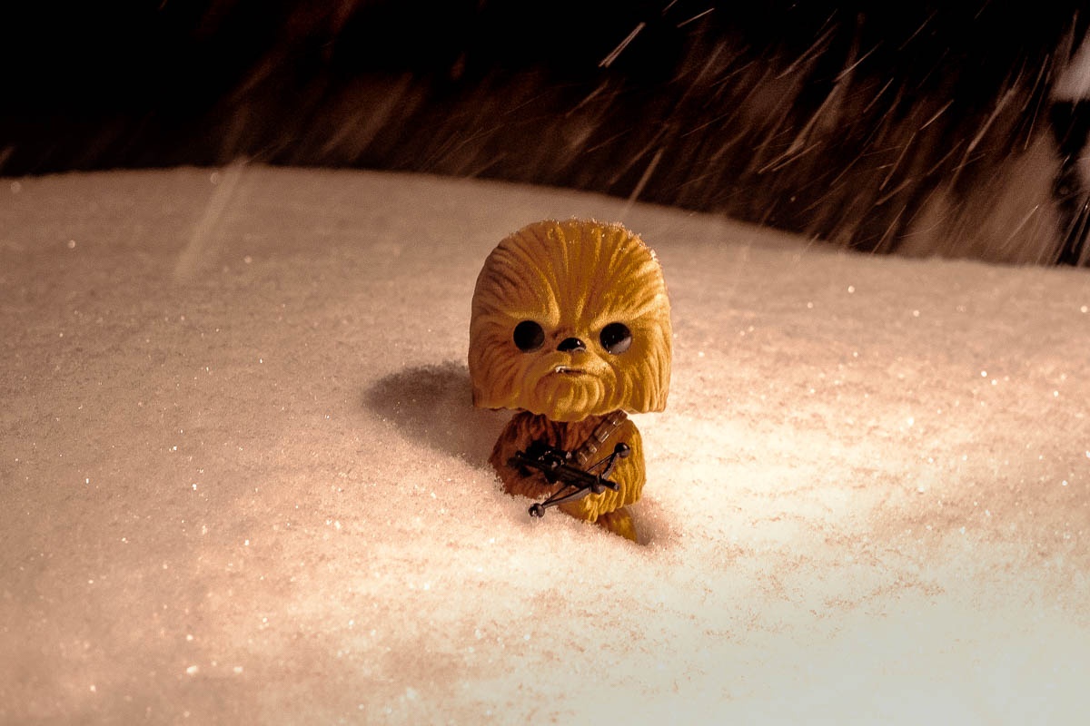 Chewie In Snow – Winter Storm Jonas