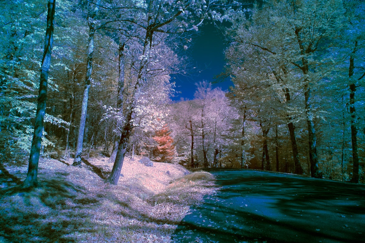 White Mountain Infrared Fantasy