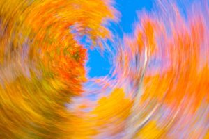 New Hampshire White Mountains Fall Color Abstract #2 – nXnw