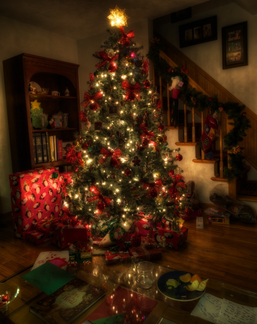christmas-tree-2009