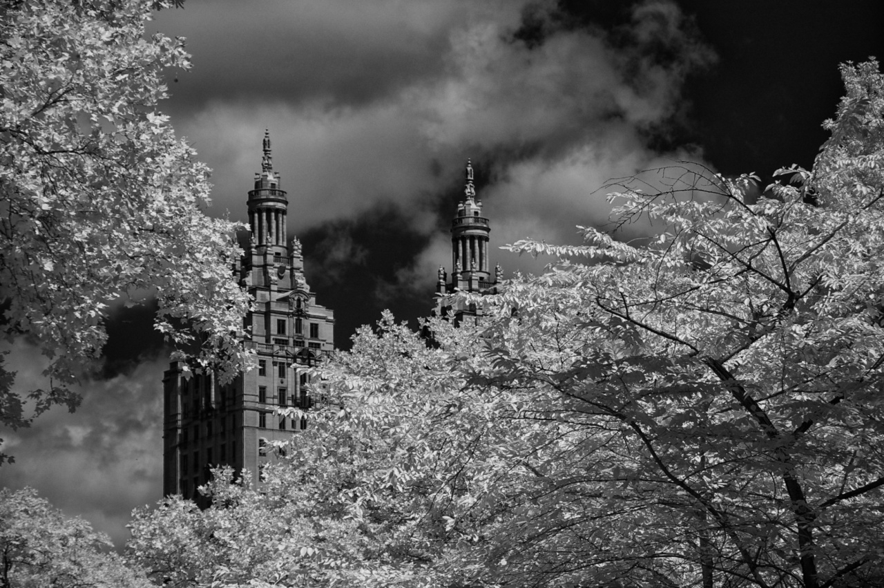 san-remo-infrared