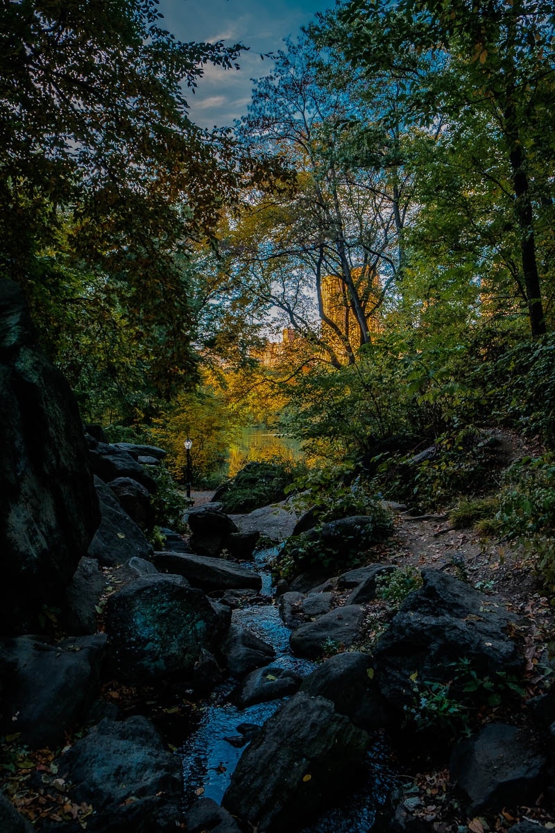 Creek in Central Park