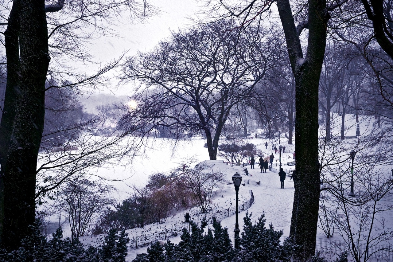 Central Park Pons and Path in Snow
