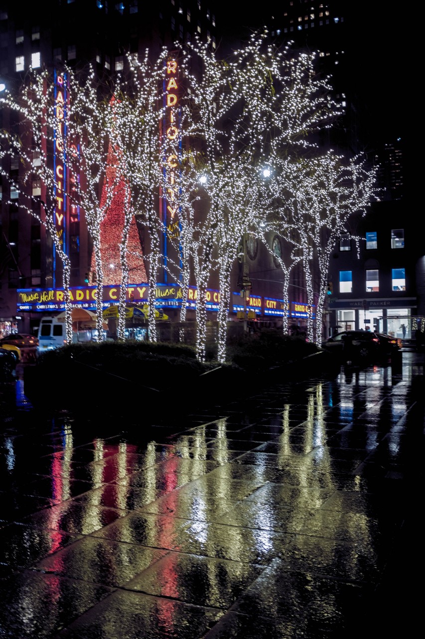 Early Christmas Lights, Rain, Reflections