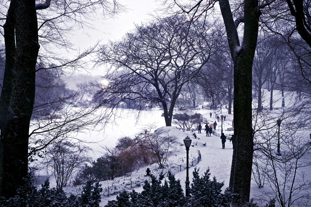 Central Park Pond and Path In Snow #we35