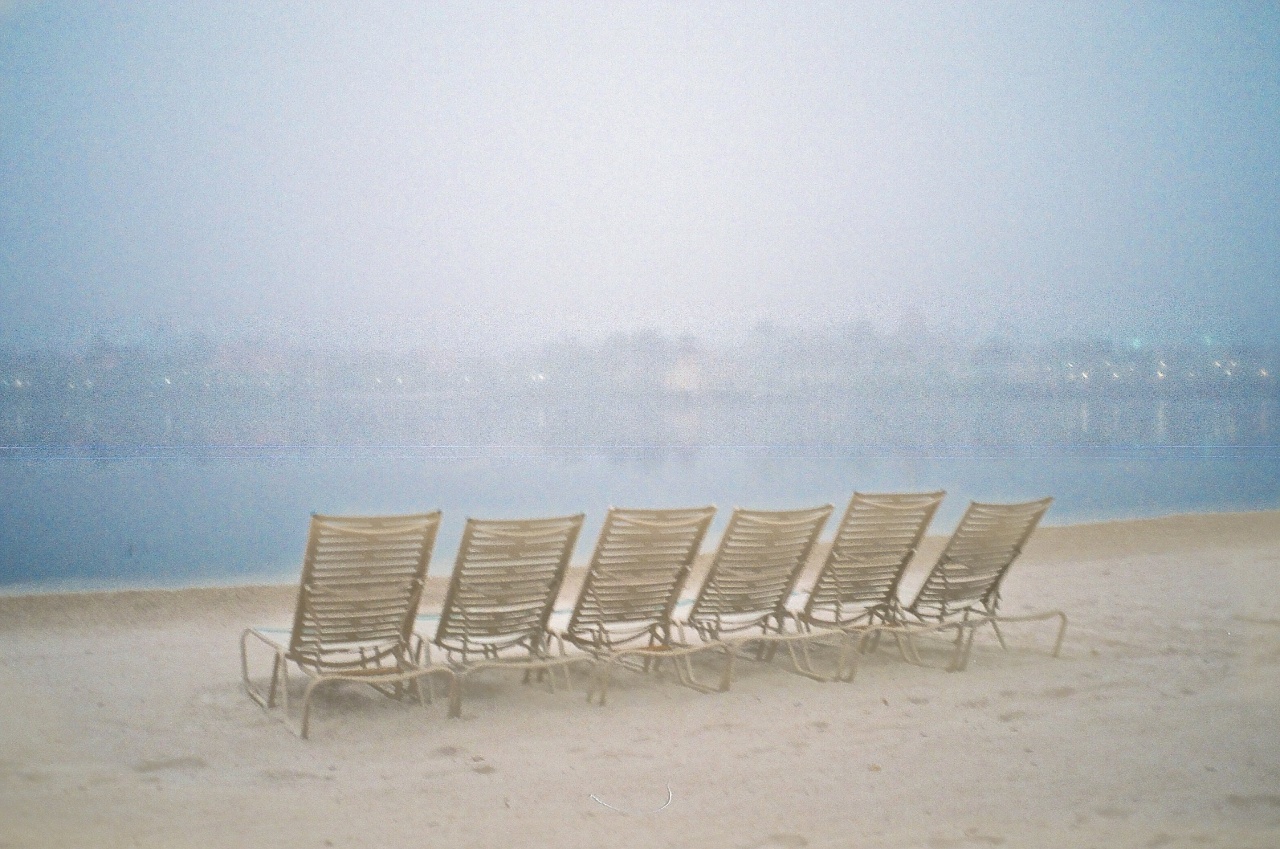 WDW Caribbean Beach Club Resort Foggy Morning -#we35