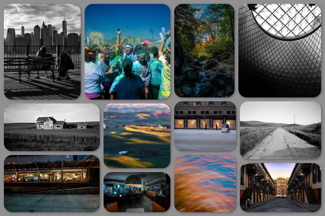 2015 – A Gallery of Favorites And the Year In Review