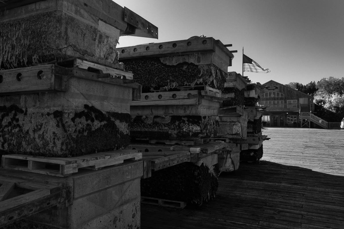 Floating Dock Pontoons, Dysart’s Great Harbor Marina, Southwest Harbor Maine