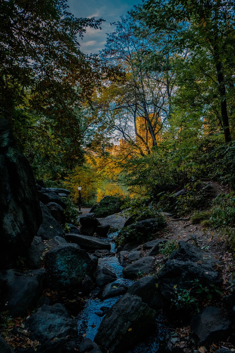 Small Creek In Central Park