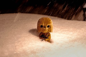 Chewie In Snow – Winter Storm Jonas