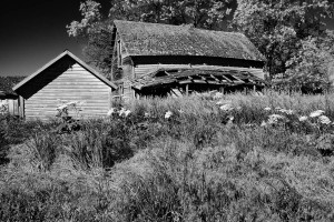 Palouse Abandoned Farmhouse Black and White