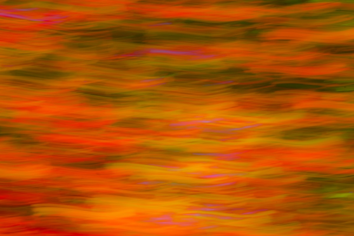 New Hampshire White Mountain Fall Color Abstract #5