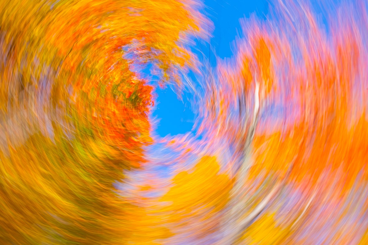 New Hampshire White Mountains Fall Color Abstract #2 – nXnw