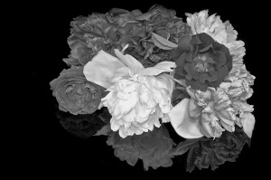 Still Life Reflections: Flowers, Black and White